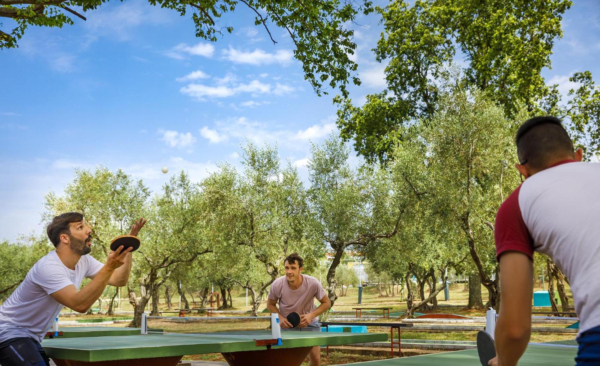 Aminess Planet Camping Maravea Resort - Pitches Novigrad Istria Exteriör bild