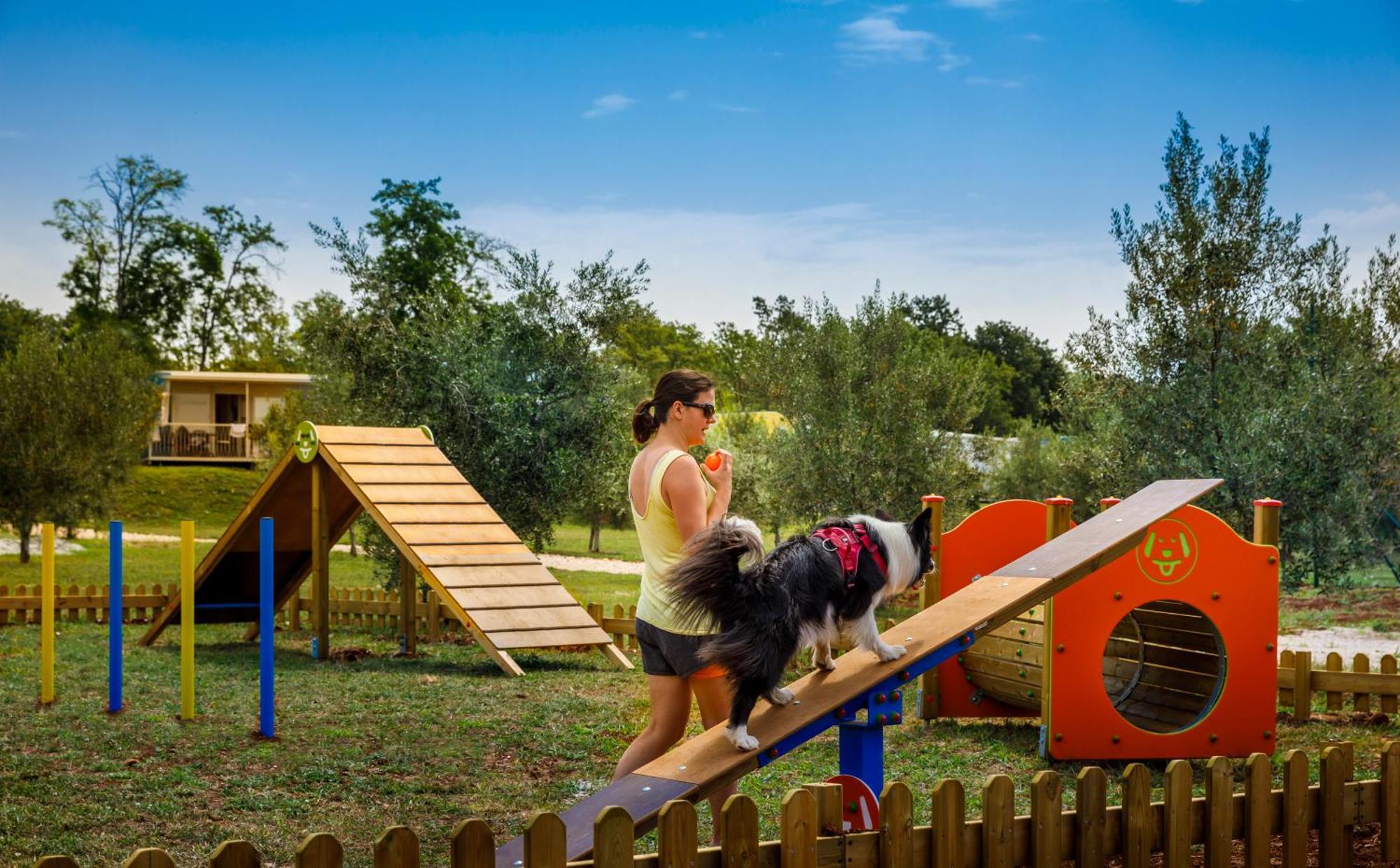 Aminess Planet Camping Maravea Resort - Pitches Novigrad Istria Exteriör bild