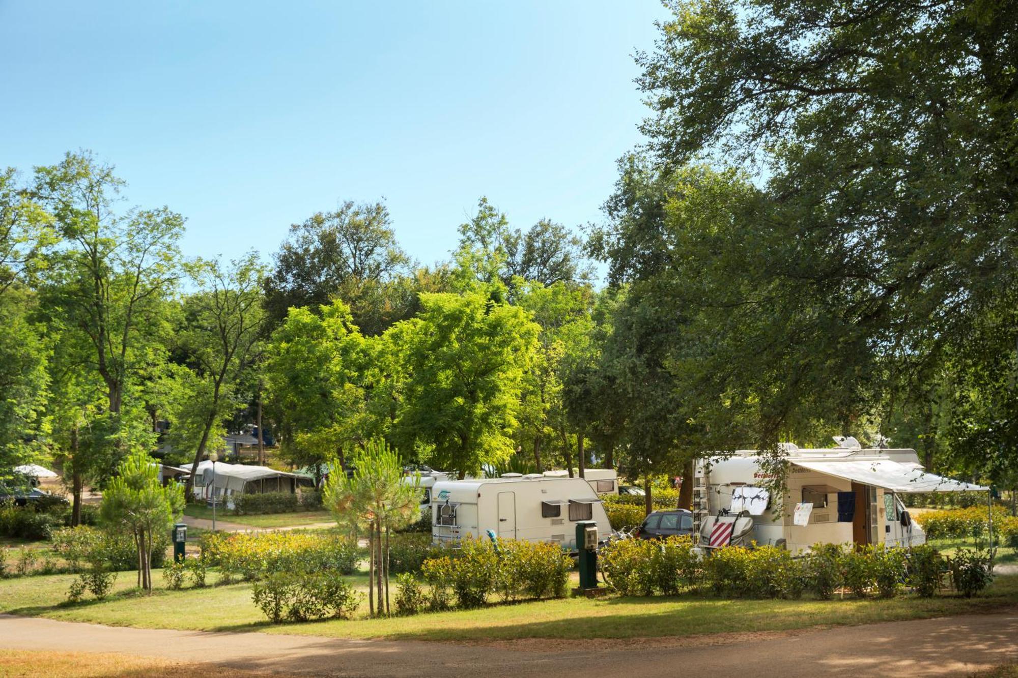 Aminess Planet Camping Maravea Resort - Pitches Novigrad Istria Exteriör bild